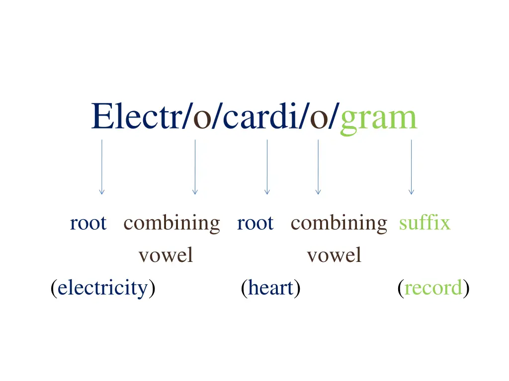 electr o cardi o gram