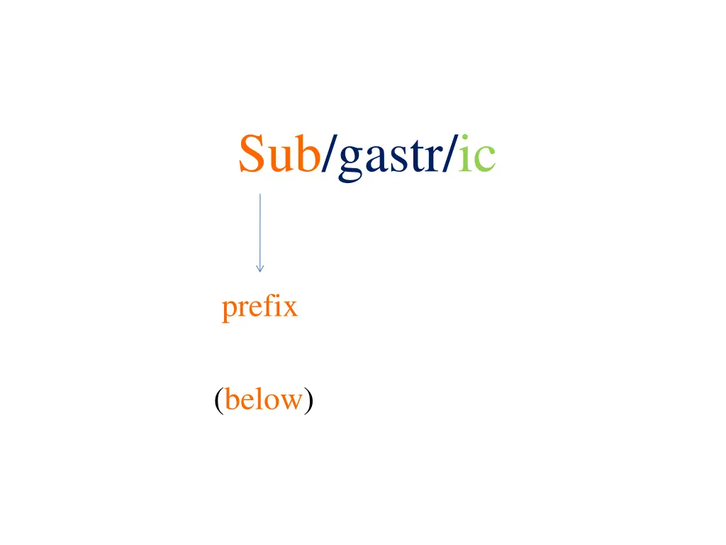 sub gastr ic