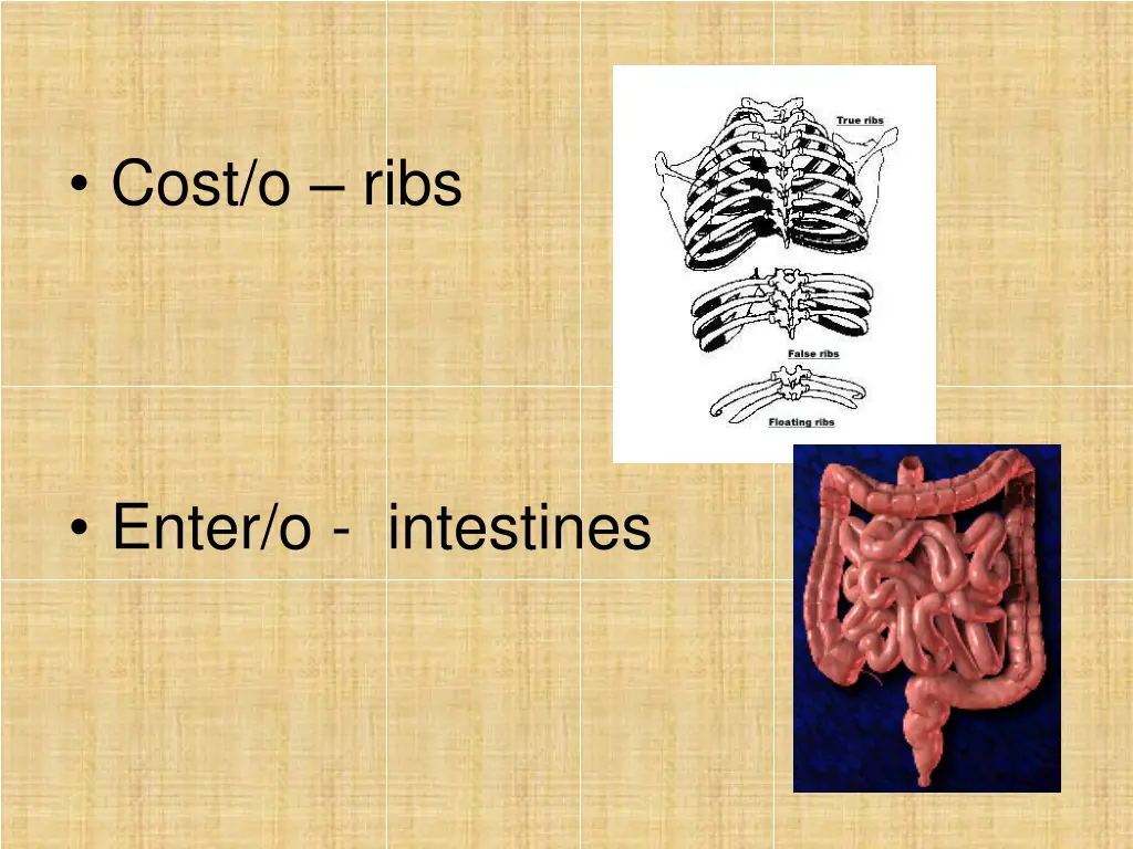 cost o ribs