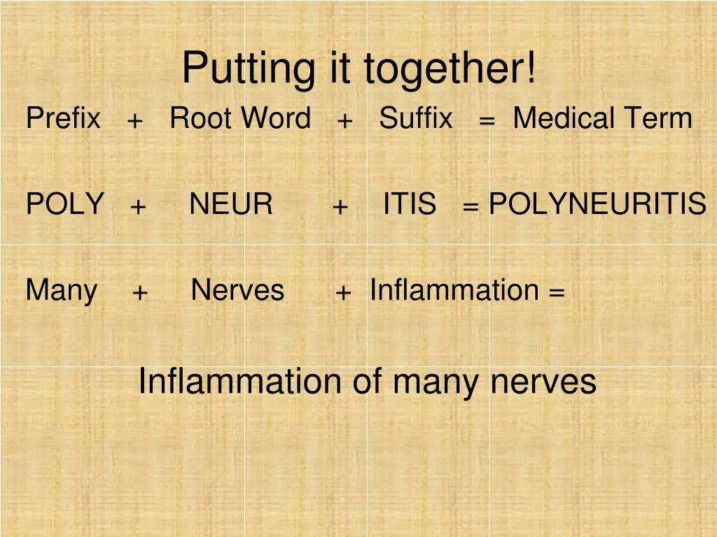 putting it together prefix root word suffix