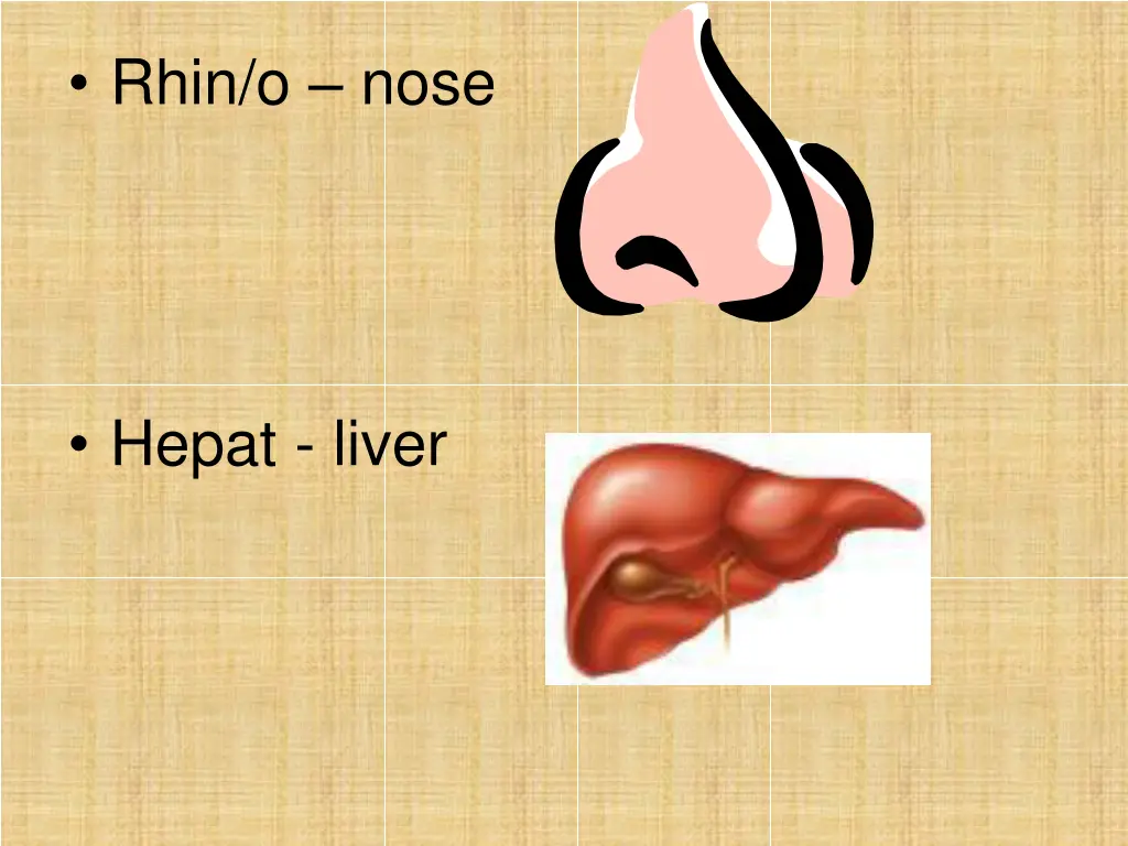 rhin o nose