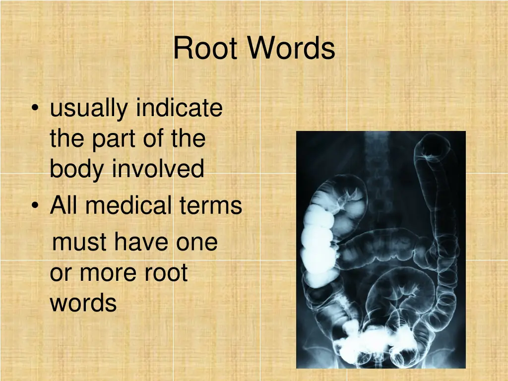 root words