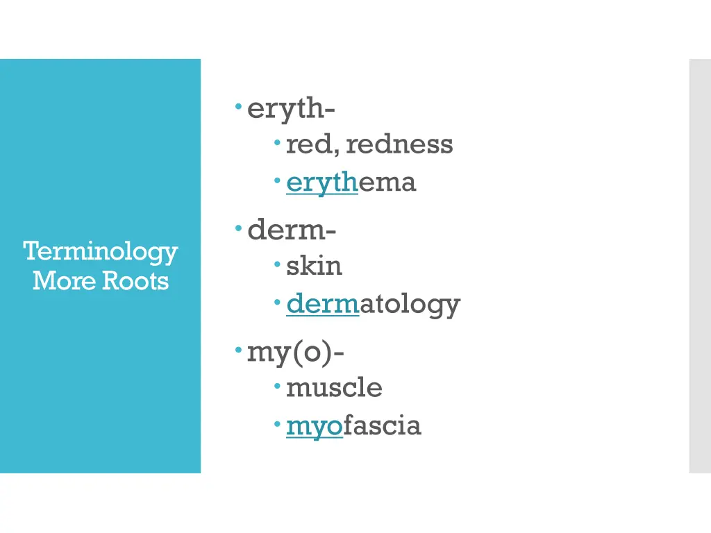 eryth red redness erythema derm skin dermatology