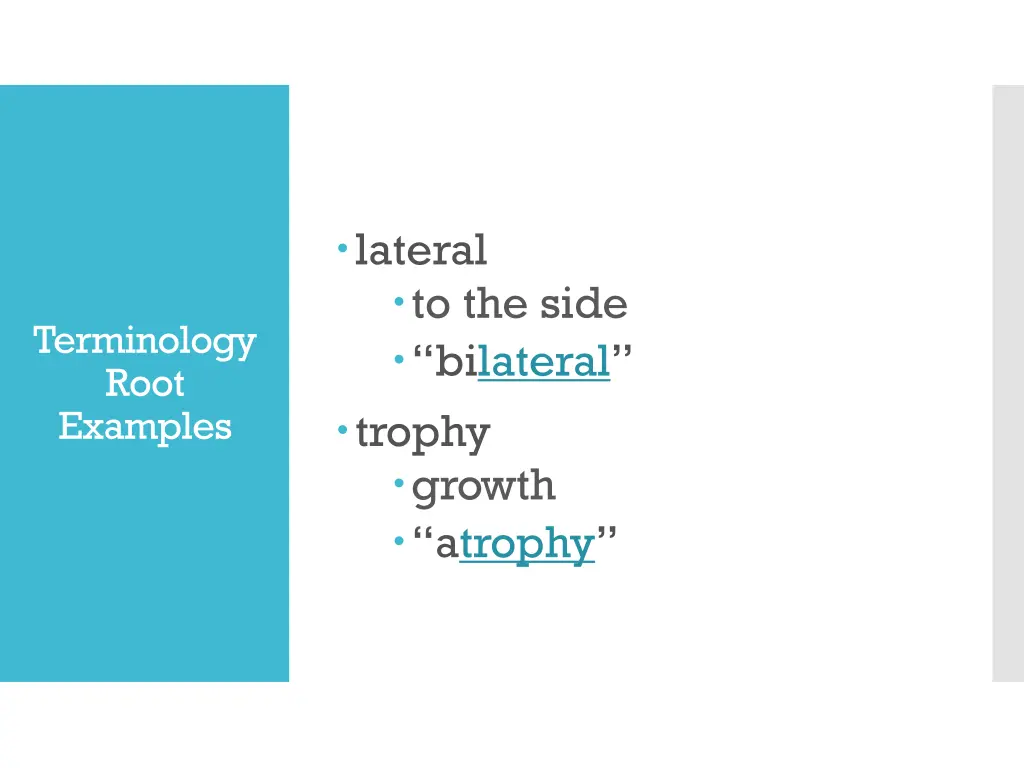 lateral to the side bi lateral trophy growth