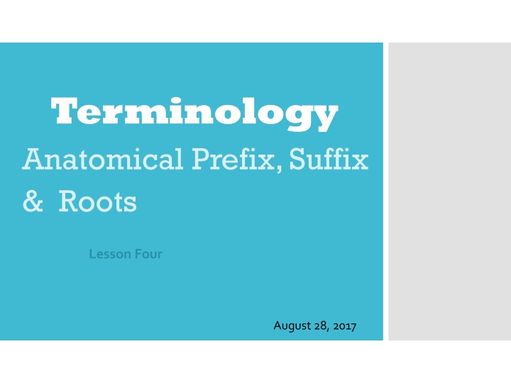 terminology anatomical prefix suffix roots