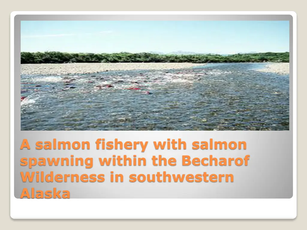 a salmon fishery with salmon spawning within