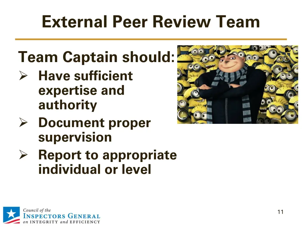 external peer review team