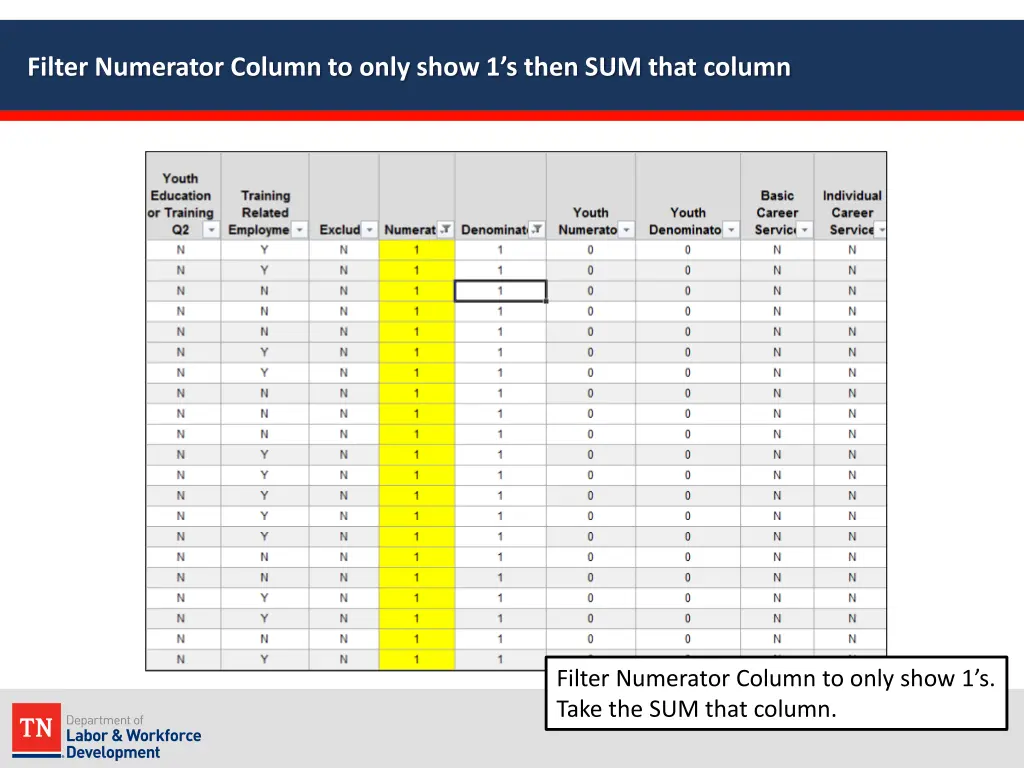 filter numerator column to only show 1 s then