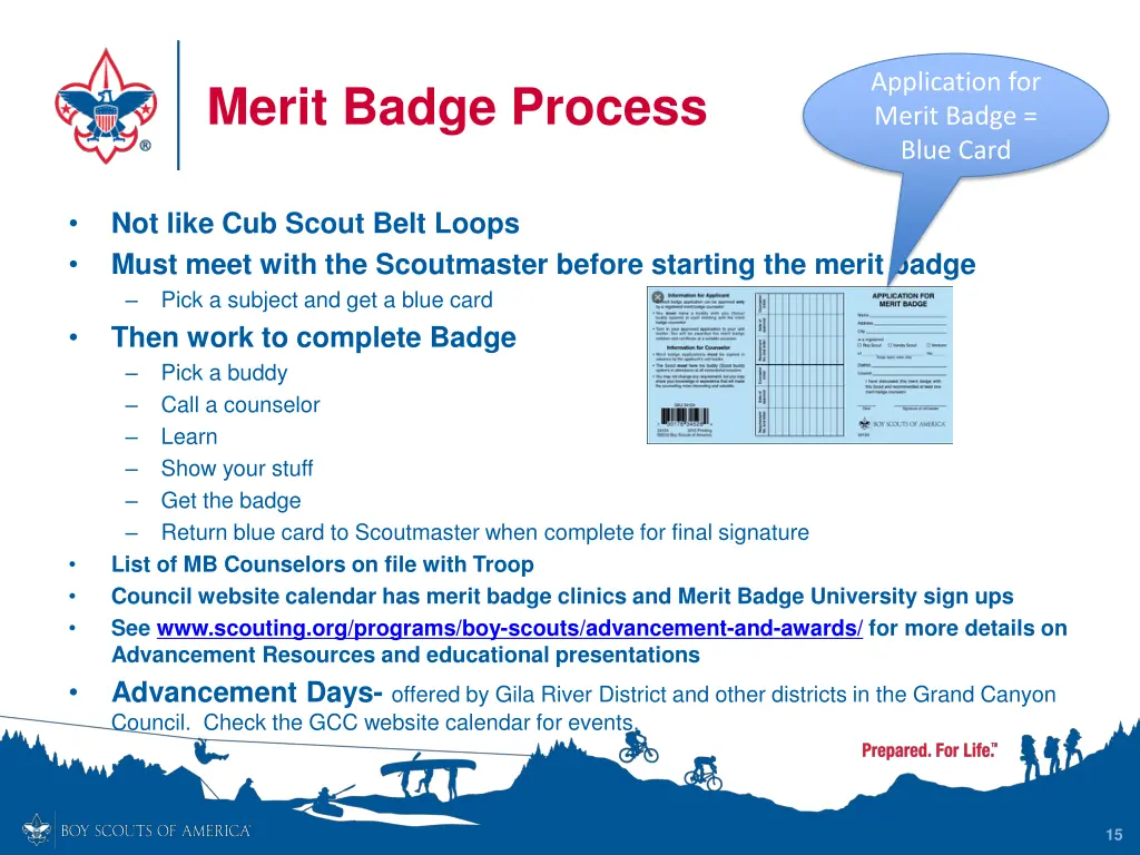 application for merit badge blue card