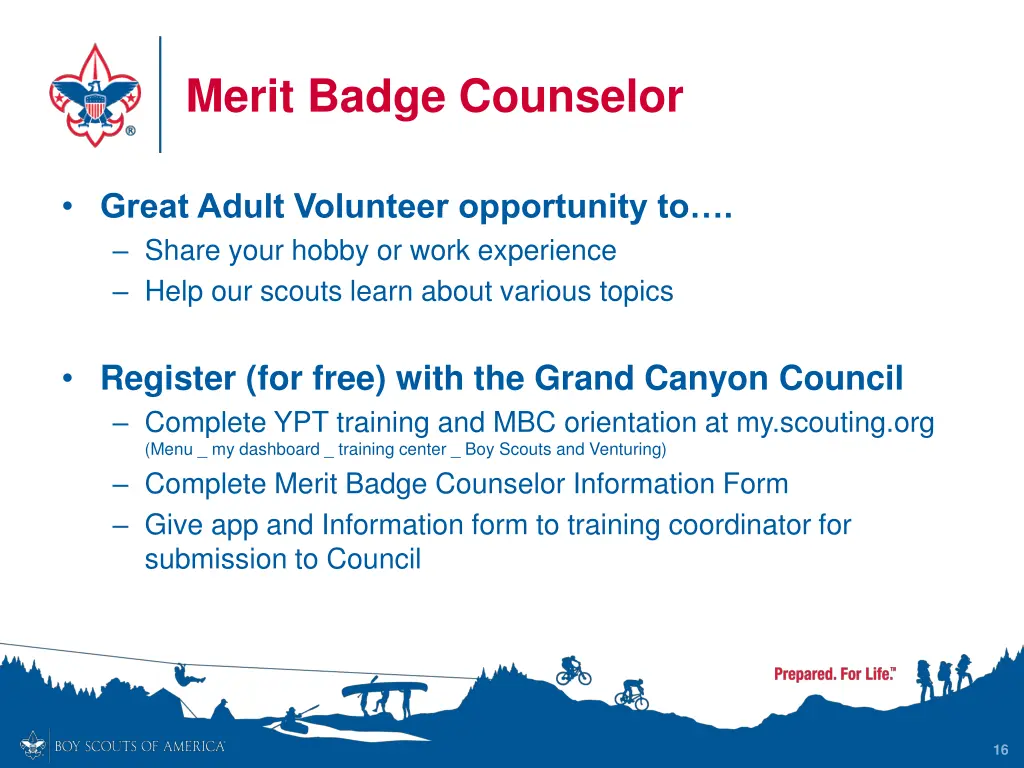 merit badge counselor