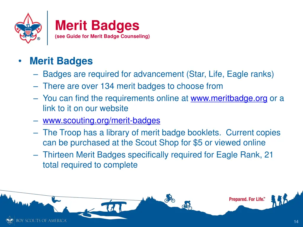 merit badges see guide for merit badge counseling