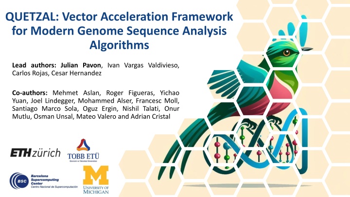 quetzal vector acceleration framework for modern