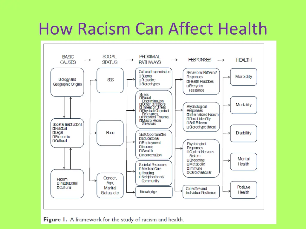 how racism can affect health