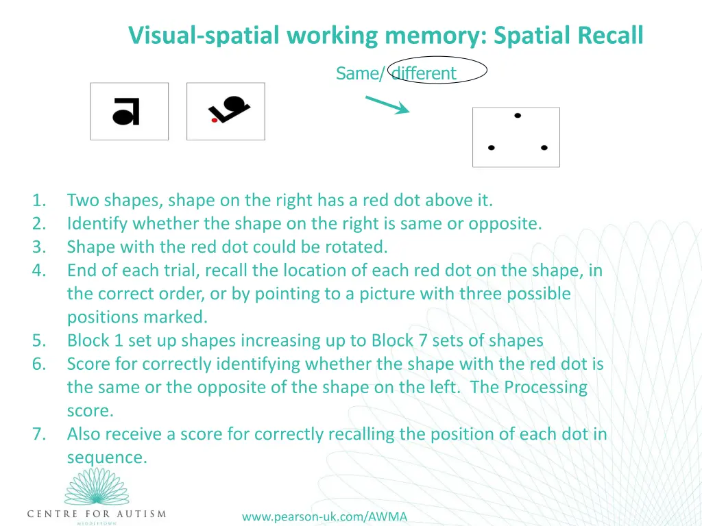 visual spatial working memory spatial recall