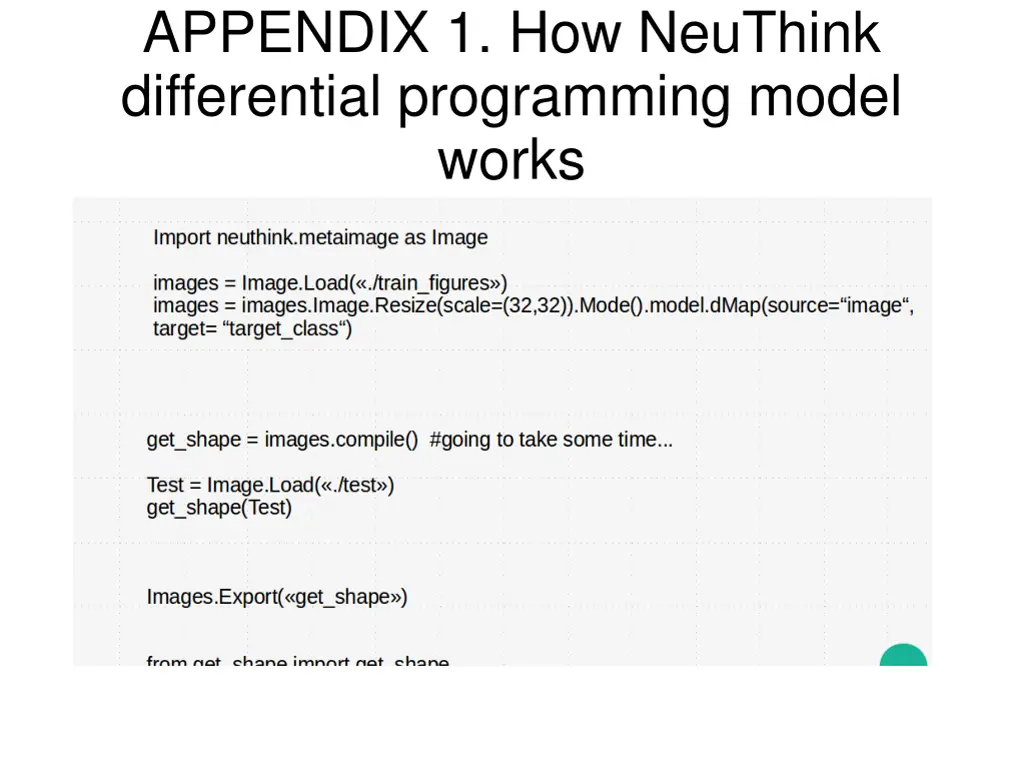 appendix 1 how neuthink differential programming