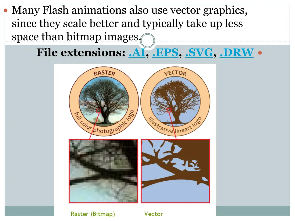 many flash animations also use vector graphics