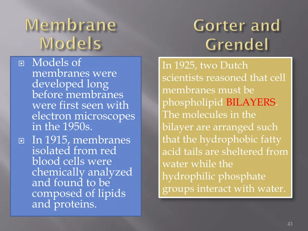 models of membranes were developed long before