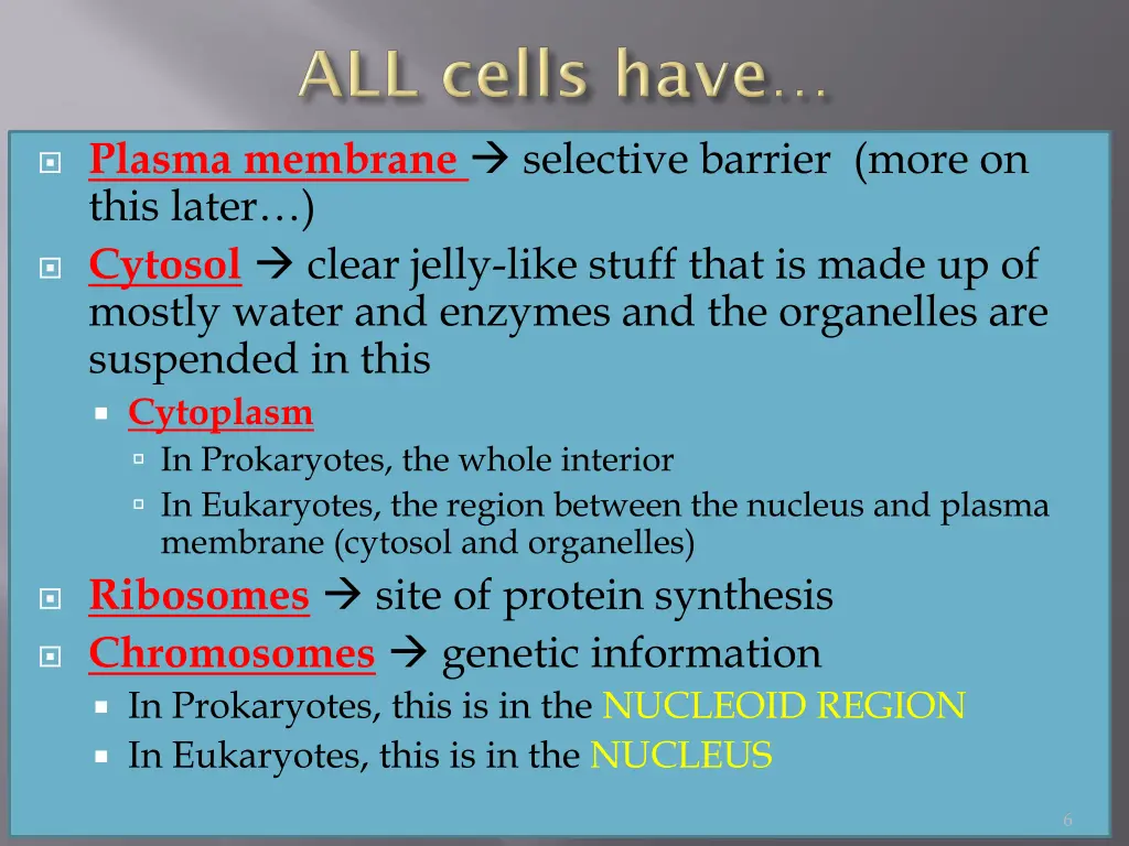 plasma membrane selective barrier more on this