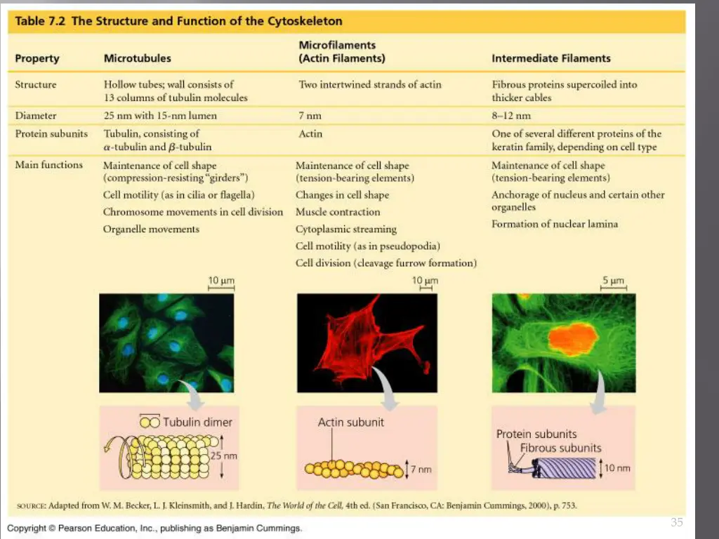 slide35