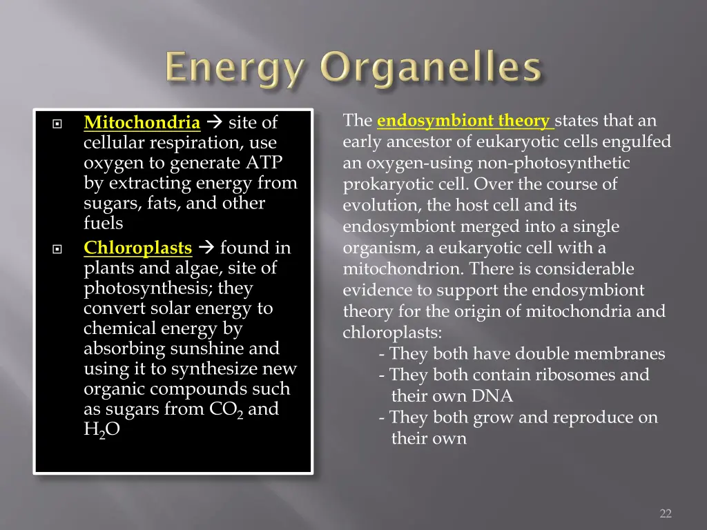 the endosymbiont theory states that an early