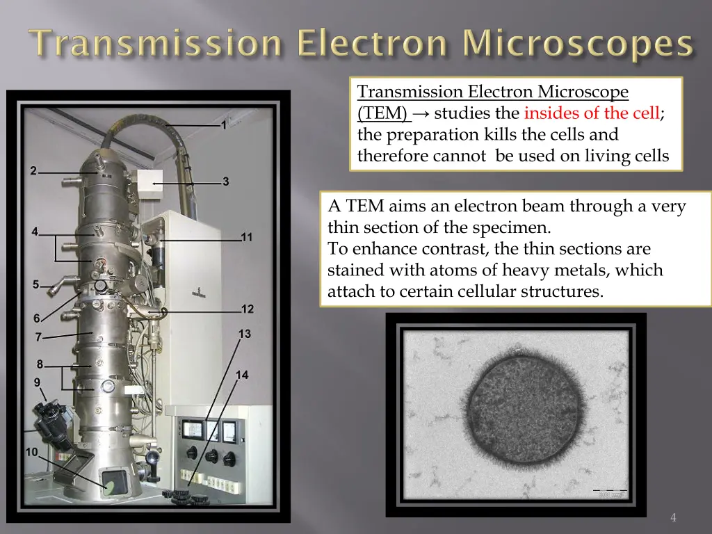 transmission electron microscope tem studies