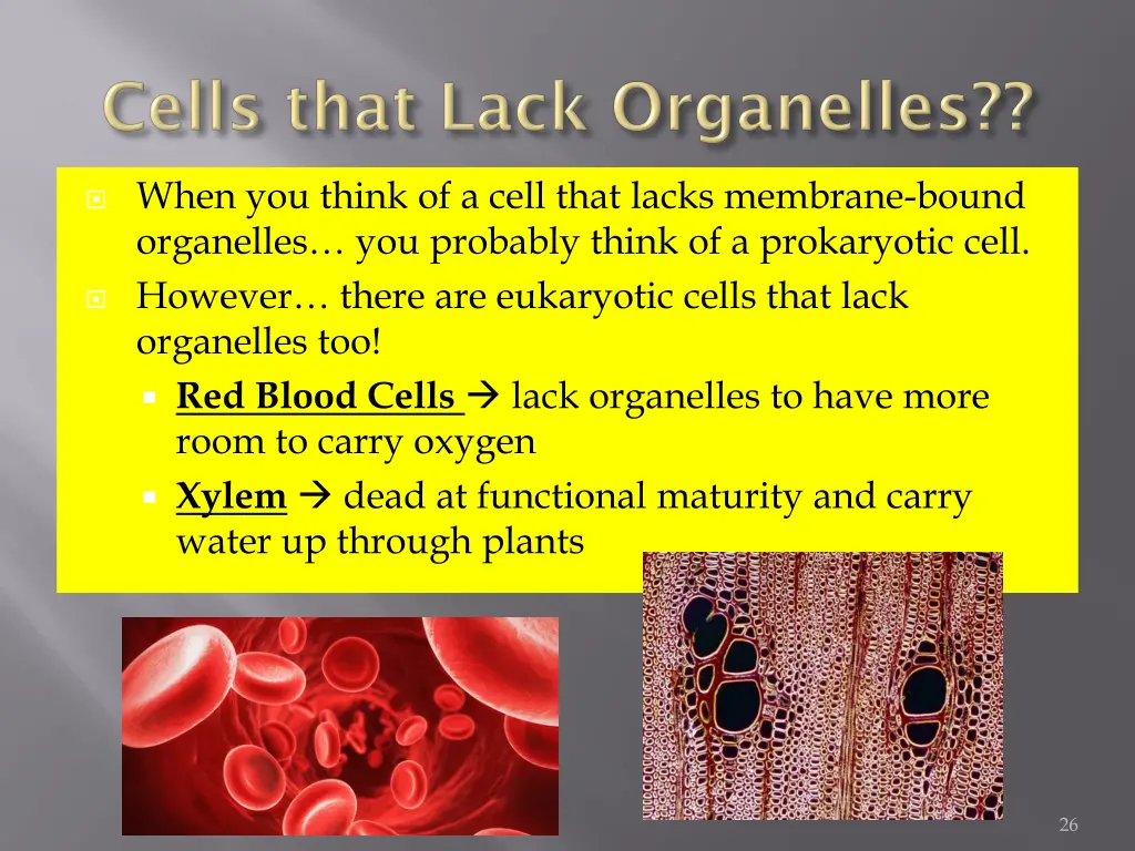 when you think of a cell that lacks membrane