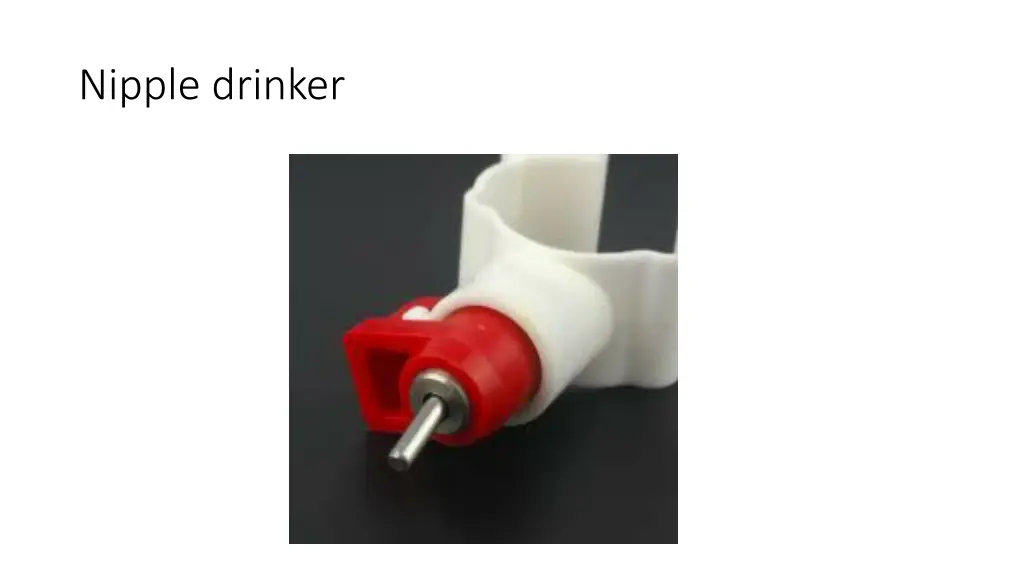 nipple drinker