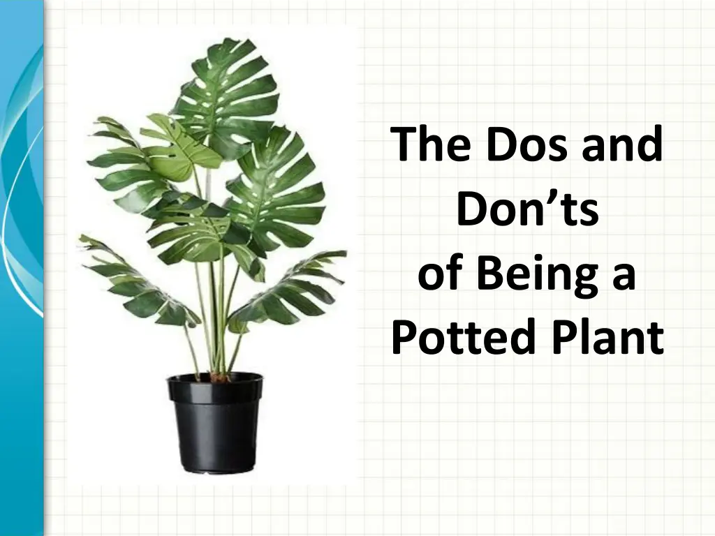 the dos and don ts of being a potted plant