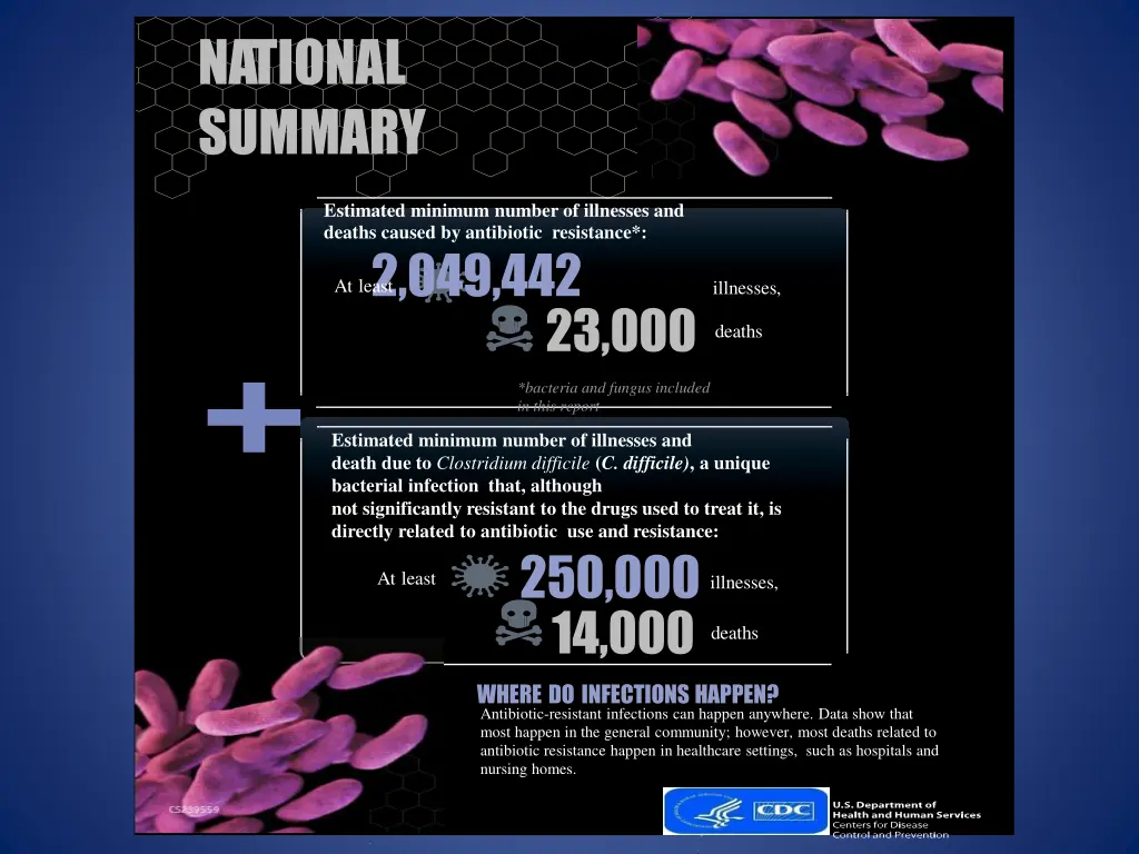 national summary