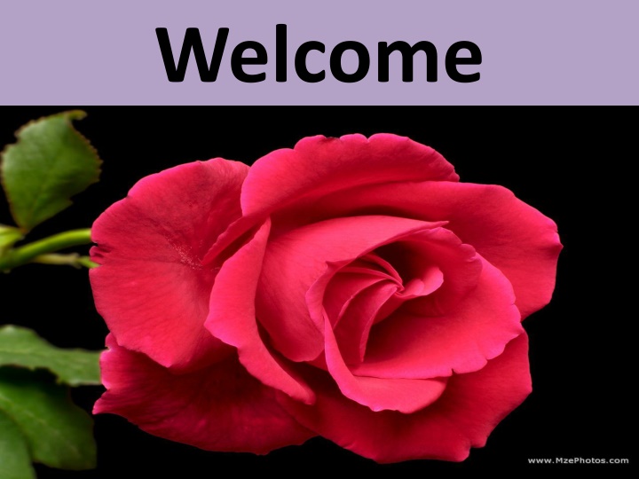 welcome