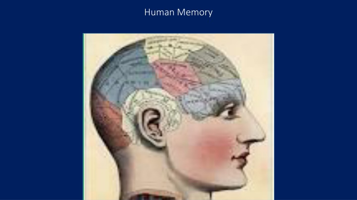 human memory