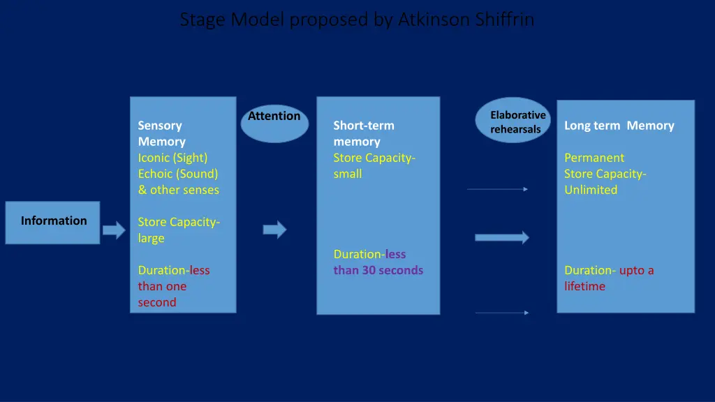 stage model proposed by atkinson shiffrin