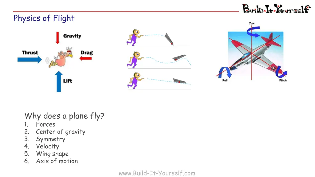 physics of flight