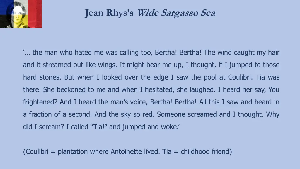 jean rhys s wide sargasso sea