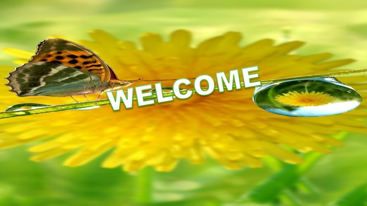 welcome