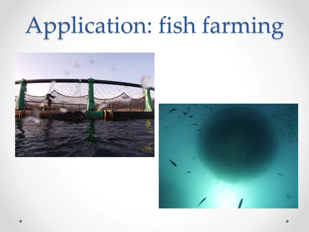 application fish farming