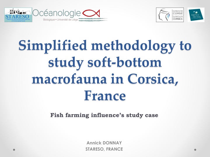 simplified methodology to study soft bottom