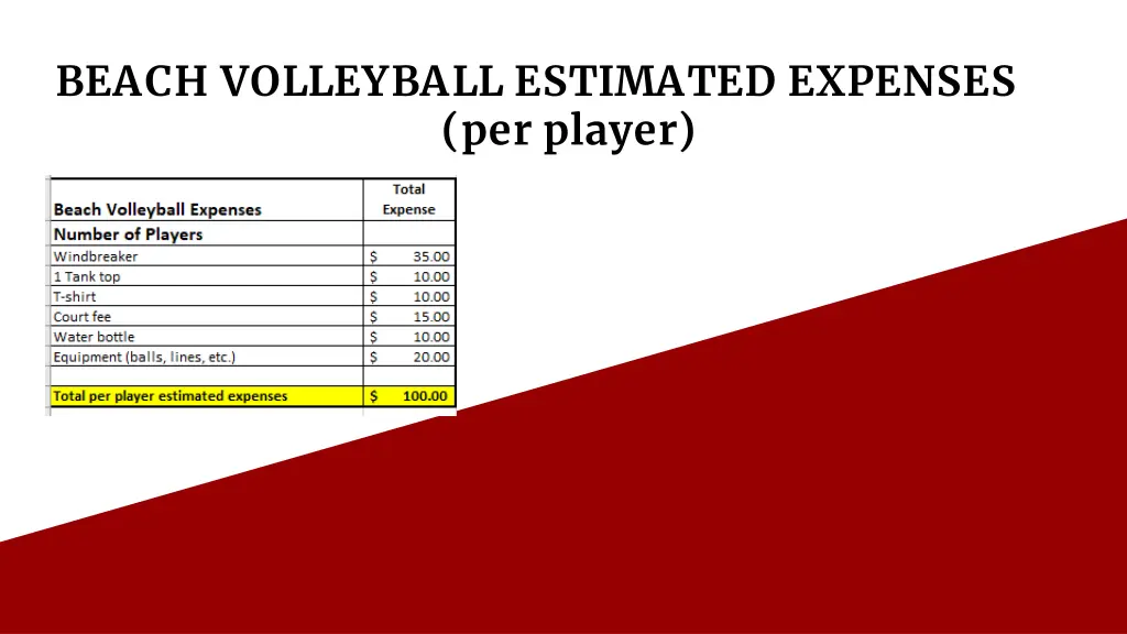 beach volleyball estimated expenses per player