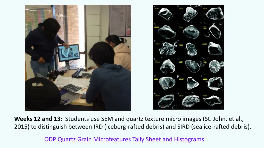 weeks 12 and 13 students use sem and quartz