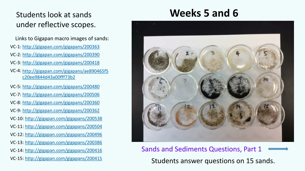 weeks 5 and 6