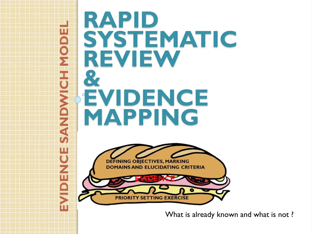 rapid systematic review evidence mapping