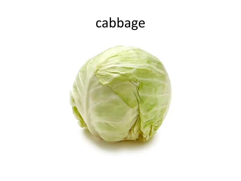 cabbage