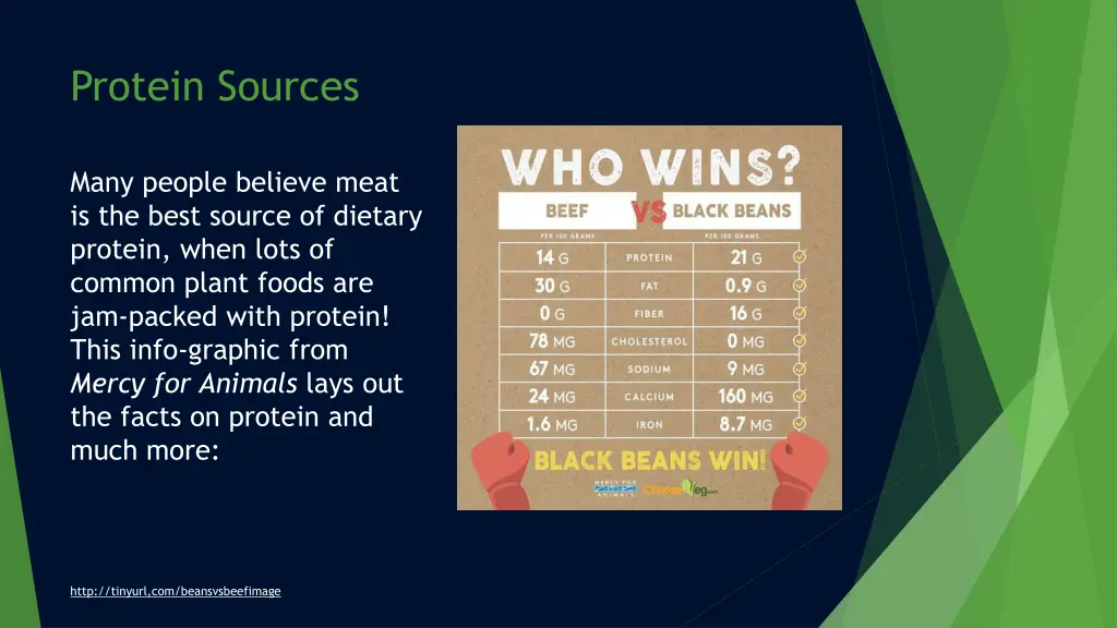 protein sources