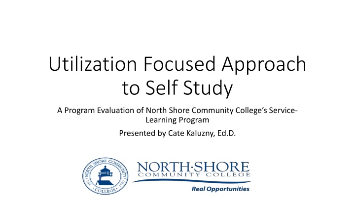 utilization focused approach to self study