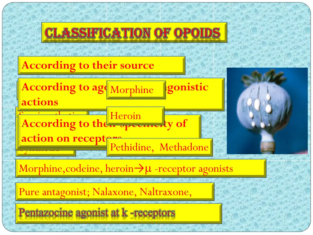 classification of opoids classification of opoids