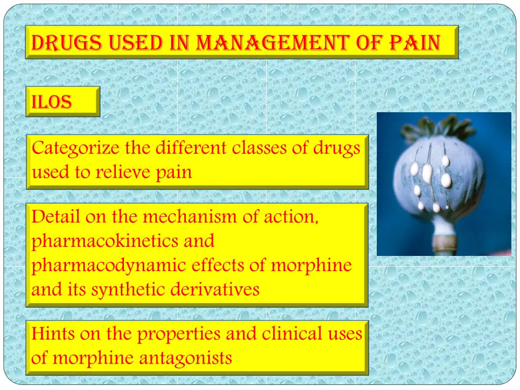 drugs used in management of pain