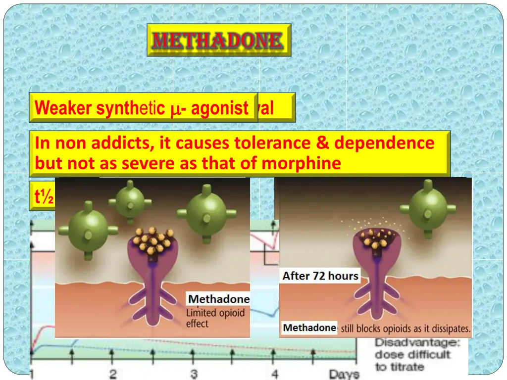 methadone methadone