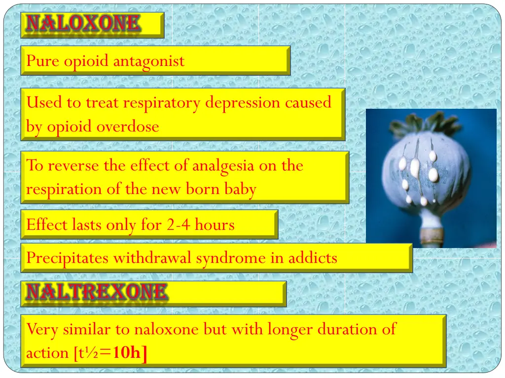 naloxone naloxone