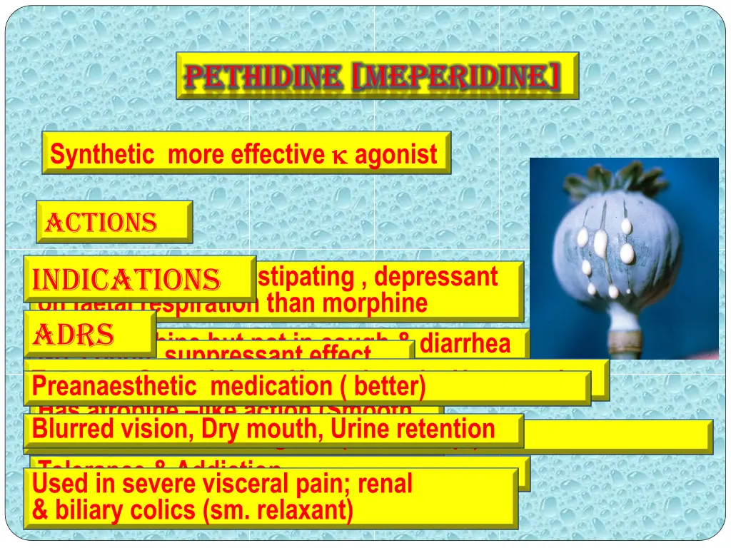 pethidine pethidine meperidine meperidine