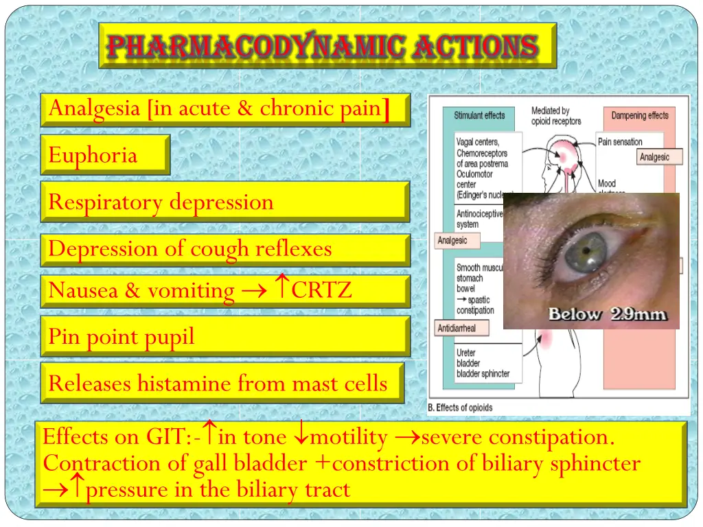 pharmacodynamic pharmacodynamic actions